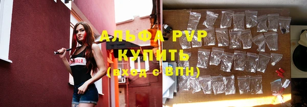 PSILOCYBIN Мегион