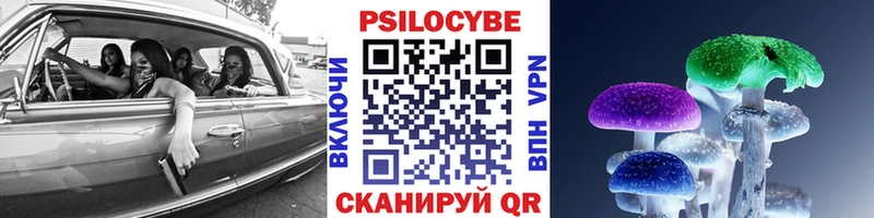 мориарти телеграм  продажа наркотиков  Орёл  Псилоцибиновые грибы прущие грибы 
